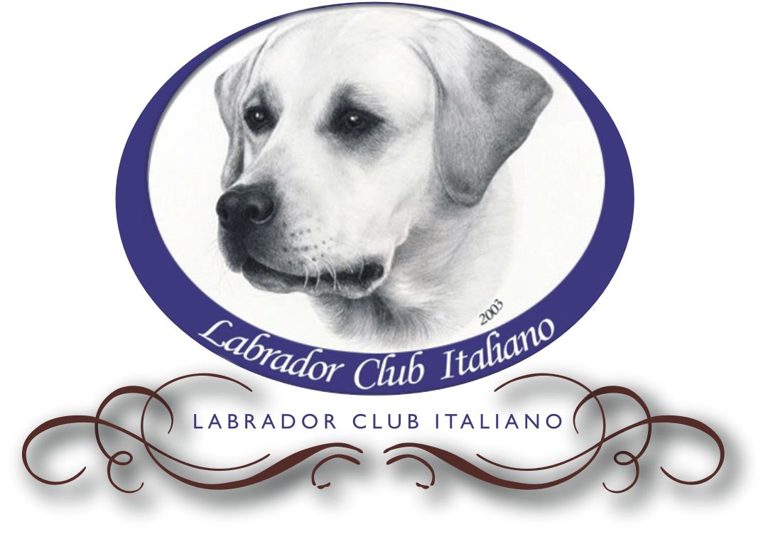 Descrizione: C:\img\loghi\LCI.jpg